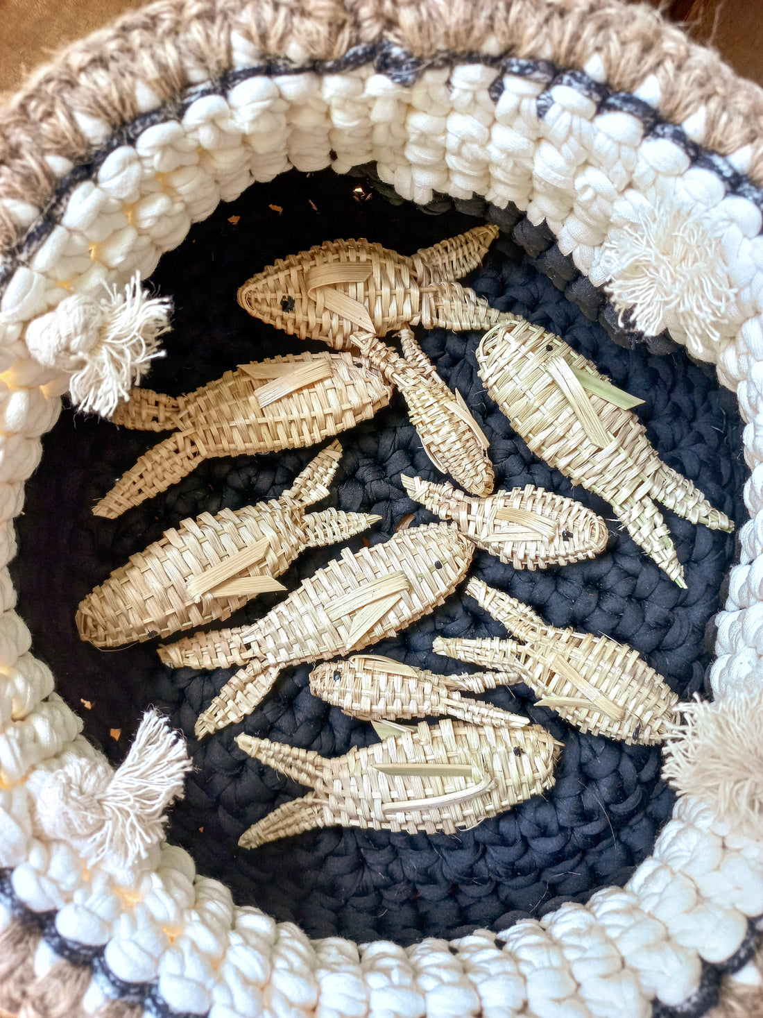 Fibra da Taquara