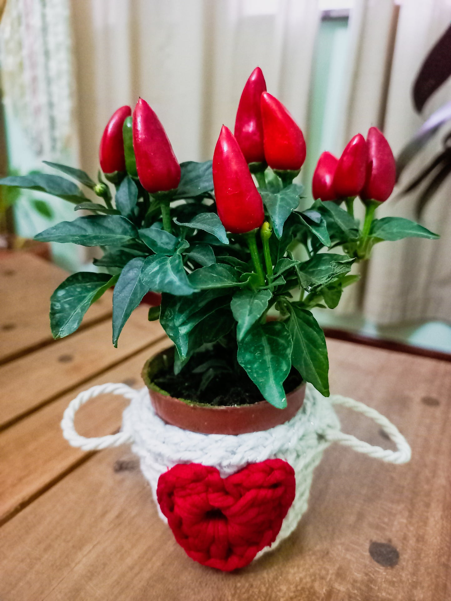 Mini Cachepô Heart